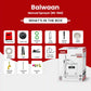Balwaan Manual Sprayer BS-16M - image 5