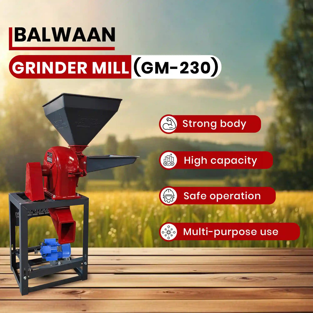 Balwaan Grinder Mill (Casting) GM-230 - image 3