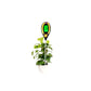 4 in 1 Soil PH Meter(With Battery) - image 2