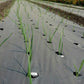 Automatic Mulching Hole Machine - image 3