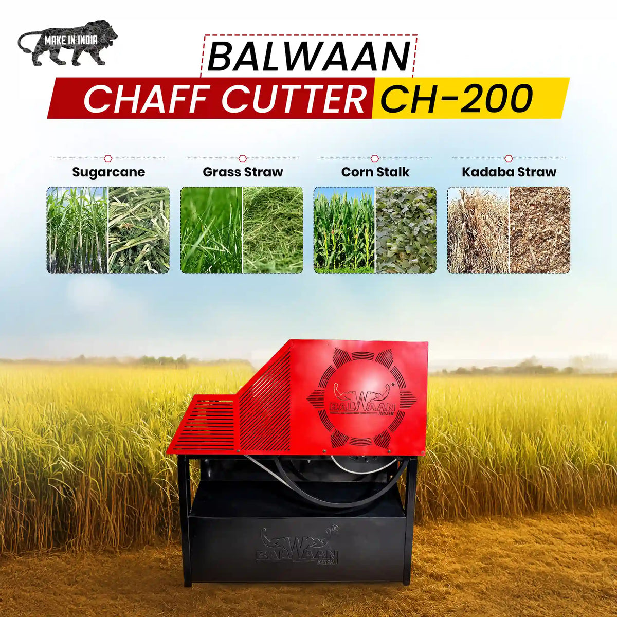 Balwaan Chaff Cutter (C type blade, two rolled, with motor) CH-200 - image 3