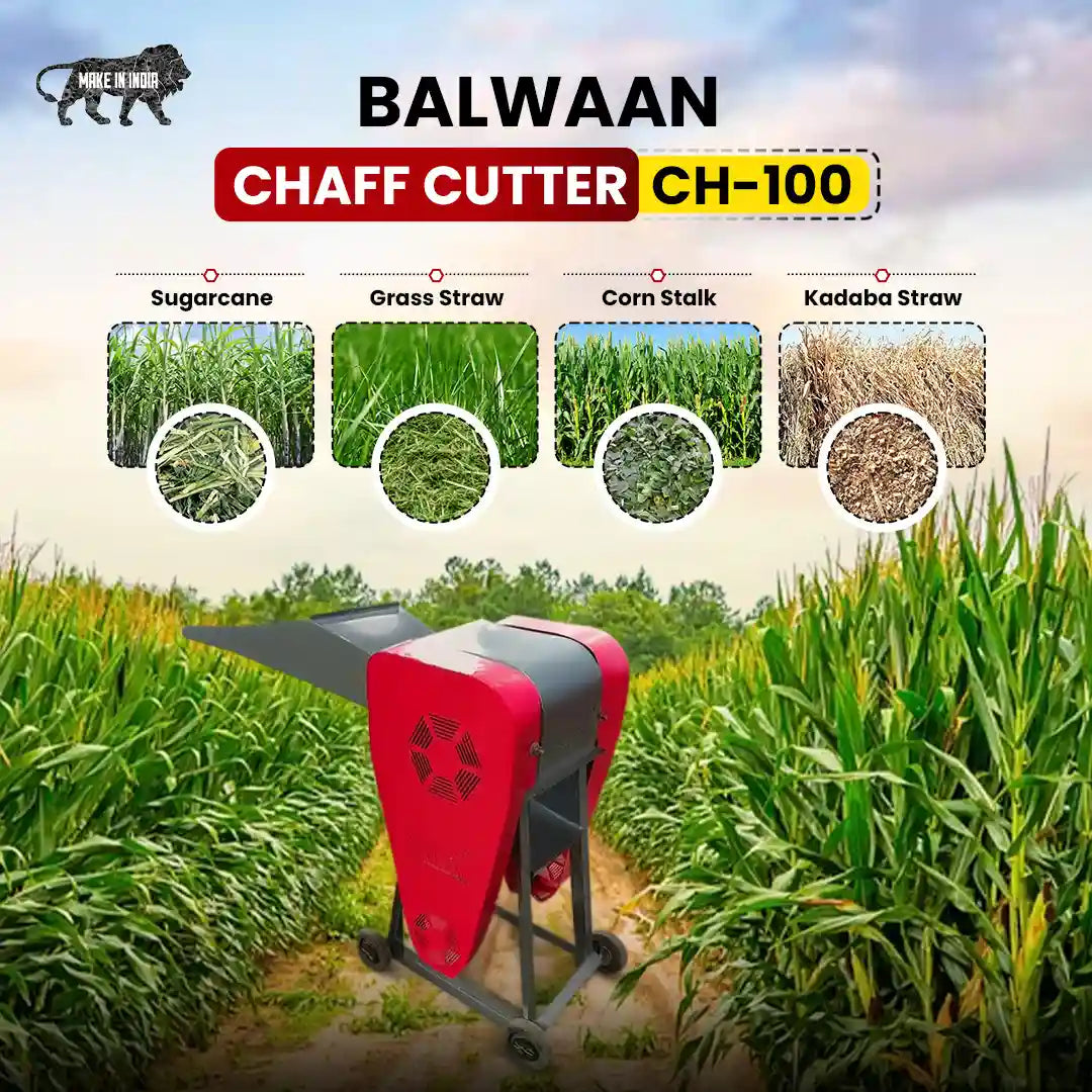 Balwaan Chaff Cutter Ben10 (With Motor) CH-100 - image 4