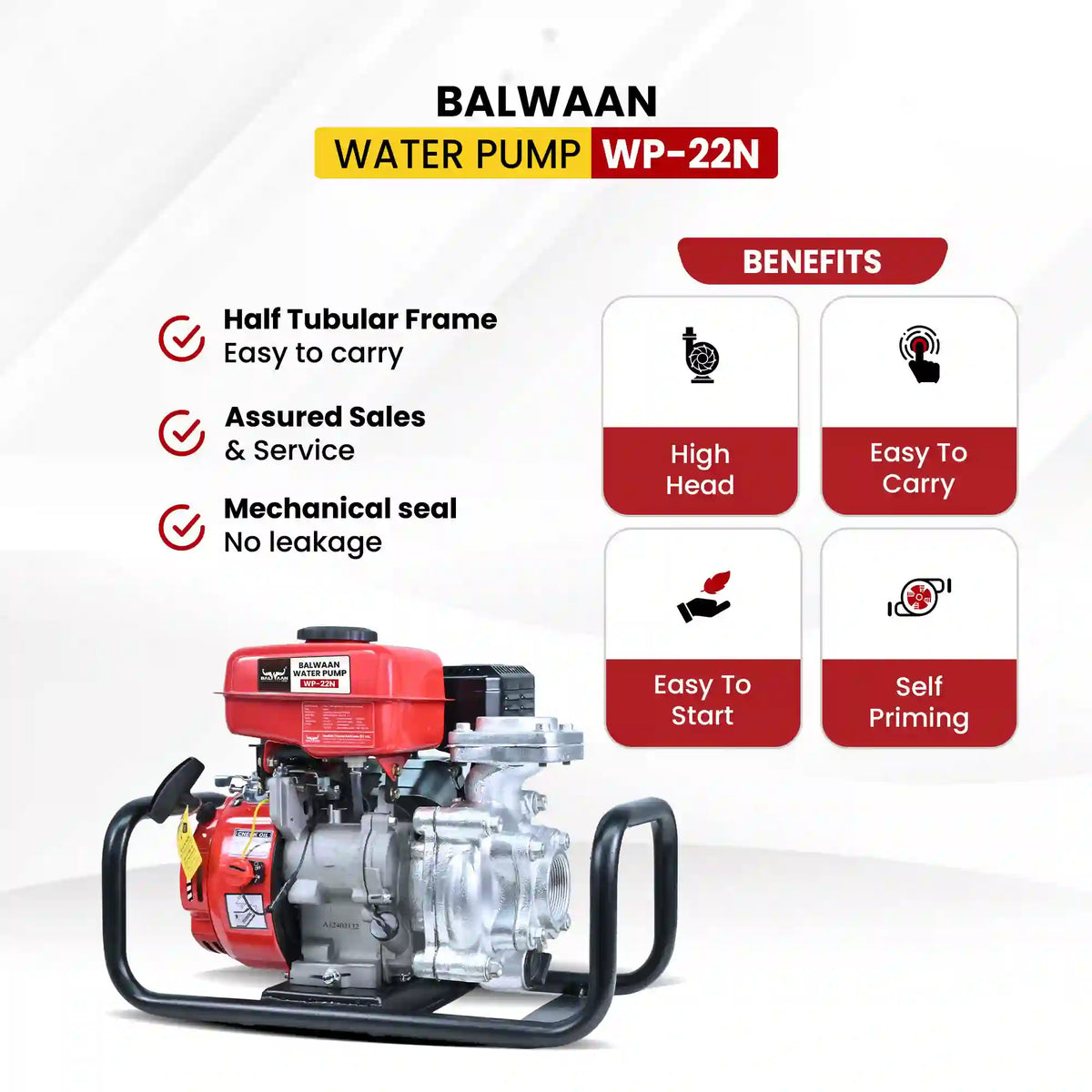 Balwaan Water Pump 2x2 Inch - (Premium Monoblock) WP-22N - image 6