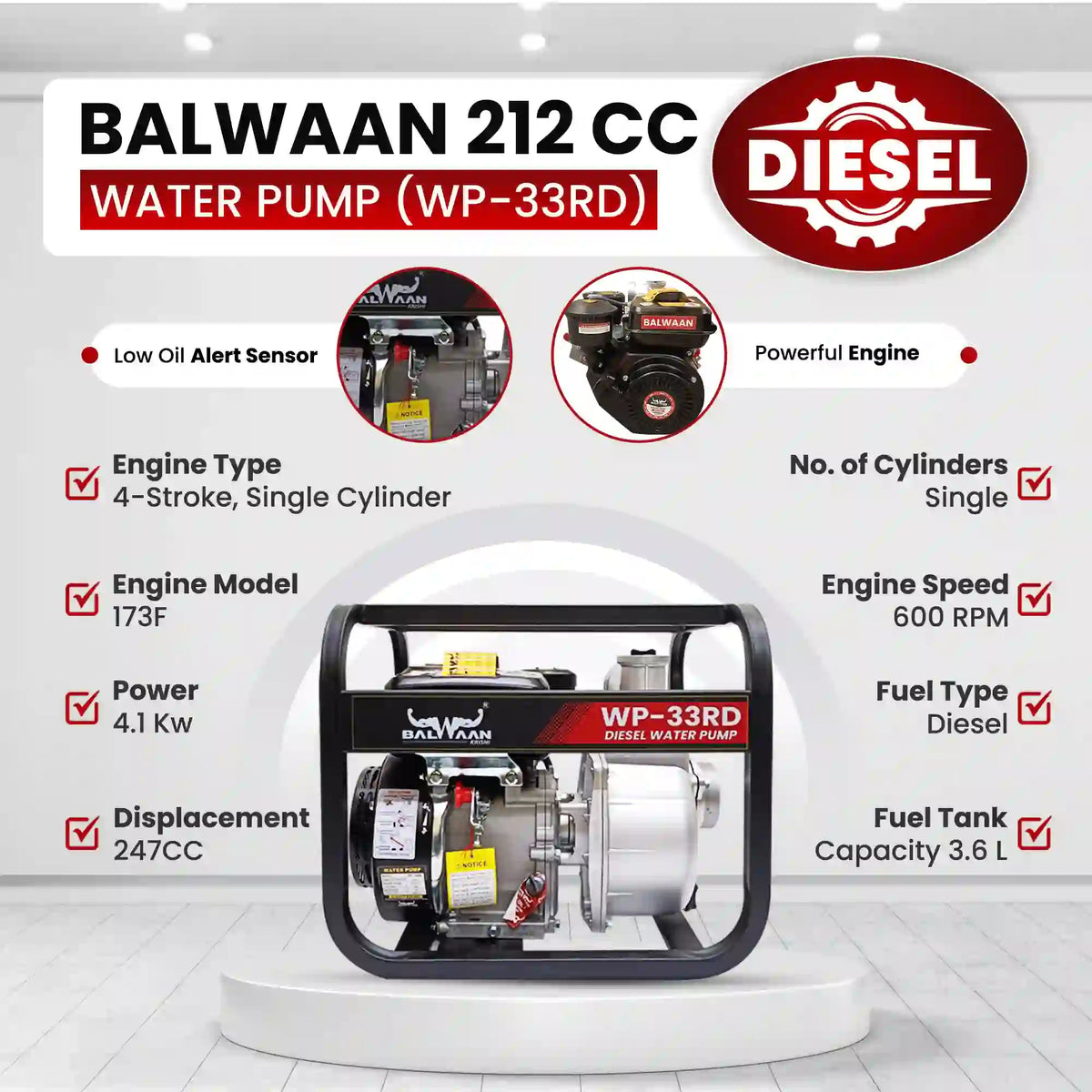 Balwaan Water Pump 3X3 Inch -(Premium) WP-33RD - image 7