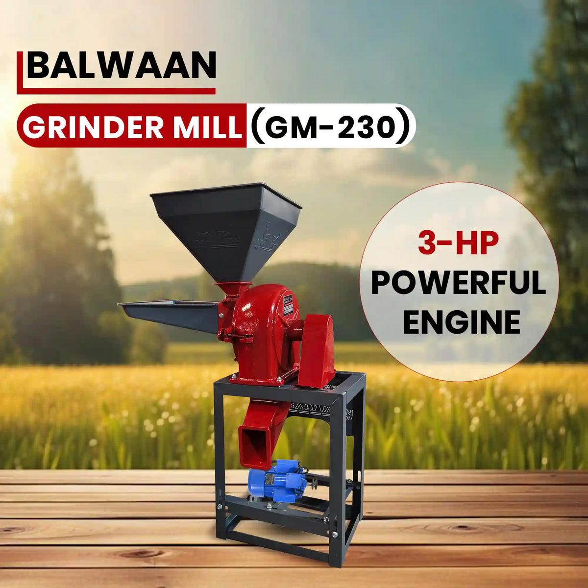 Balwaan Grinder Mill (Casting) GM-230 - image 5