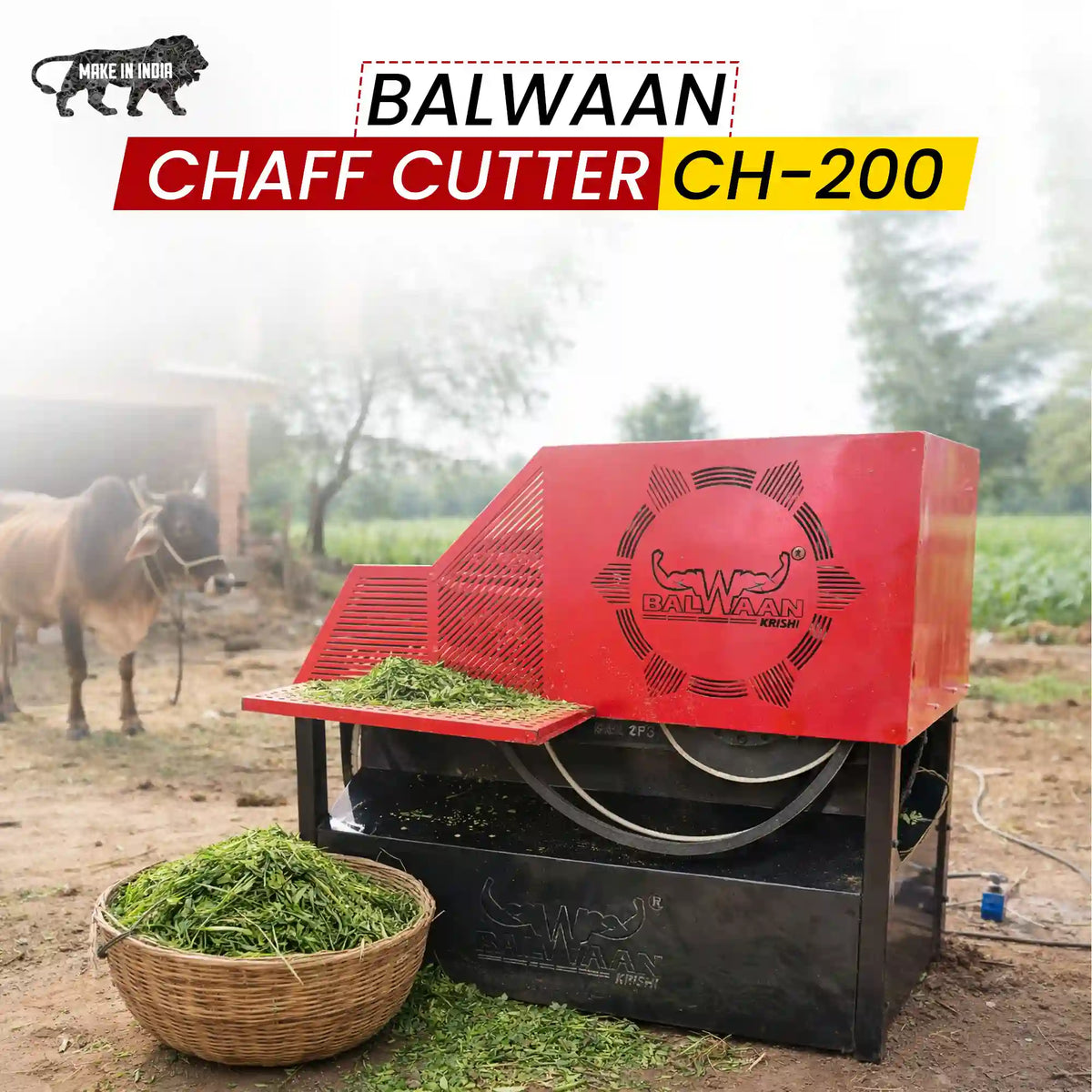 Balwaan Chaff Cutter (C type blade, two rolled, with motor) CH-200 - image 4