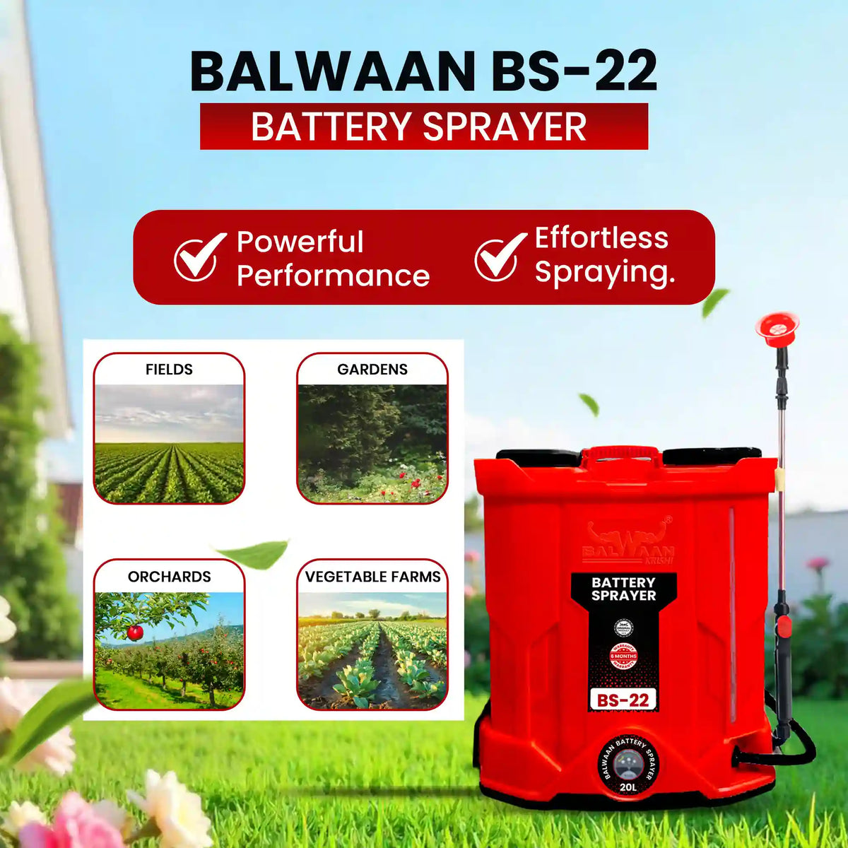 Balwaan Battery Sprayer BS-22 - image 5