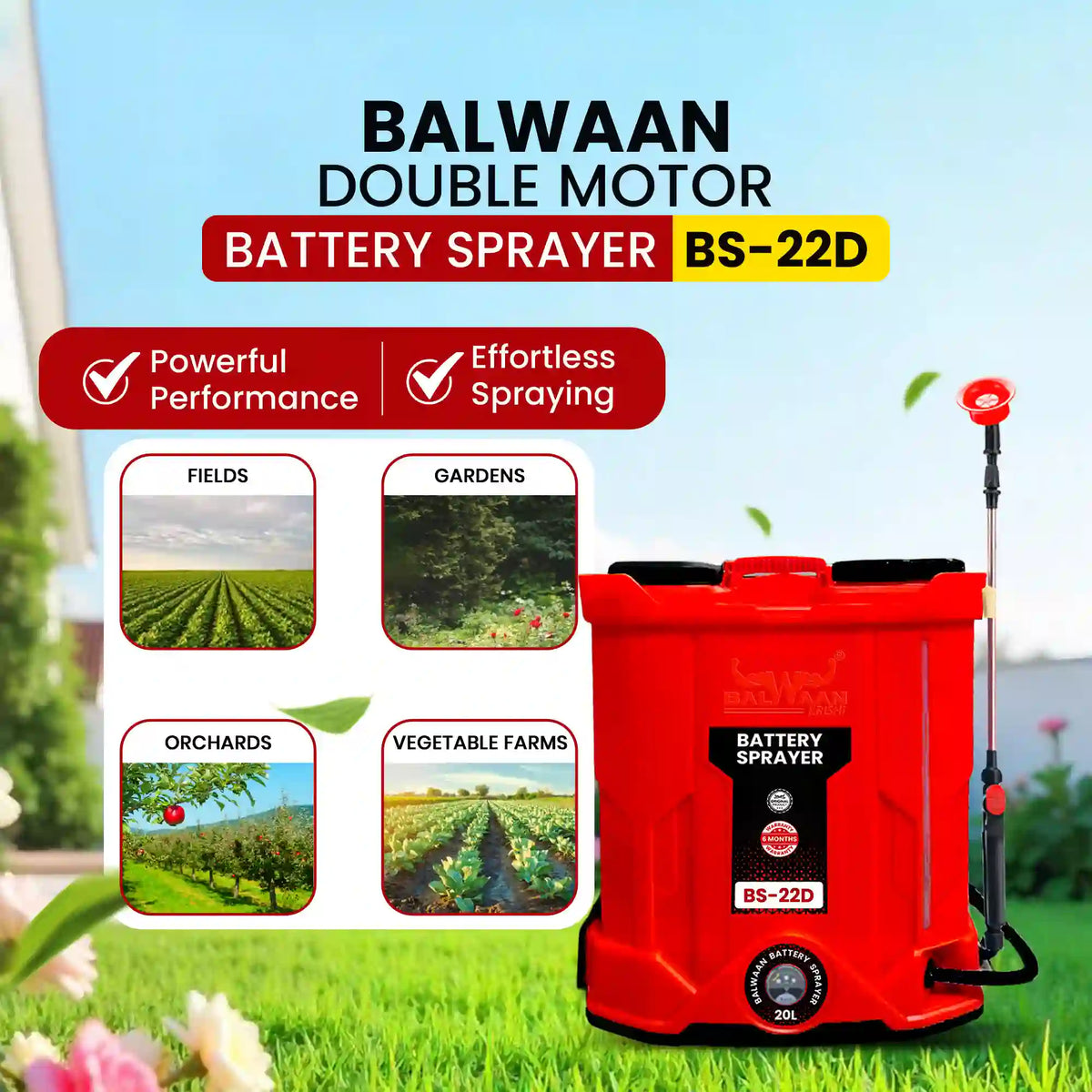 Balwaan Battery Sprayer (Double Motor) BS-22D - image 8