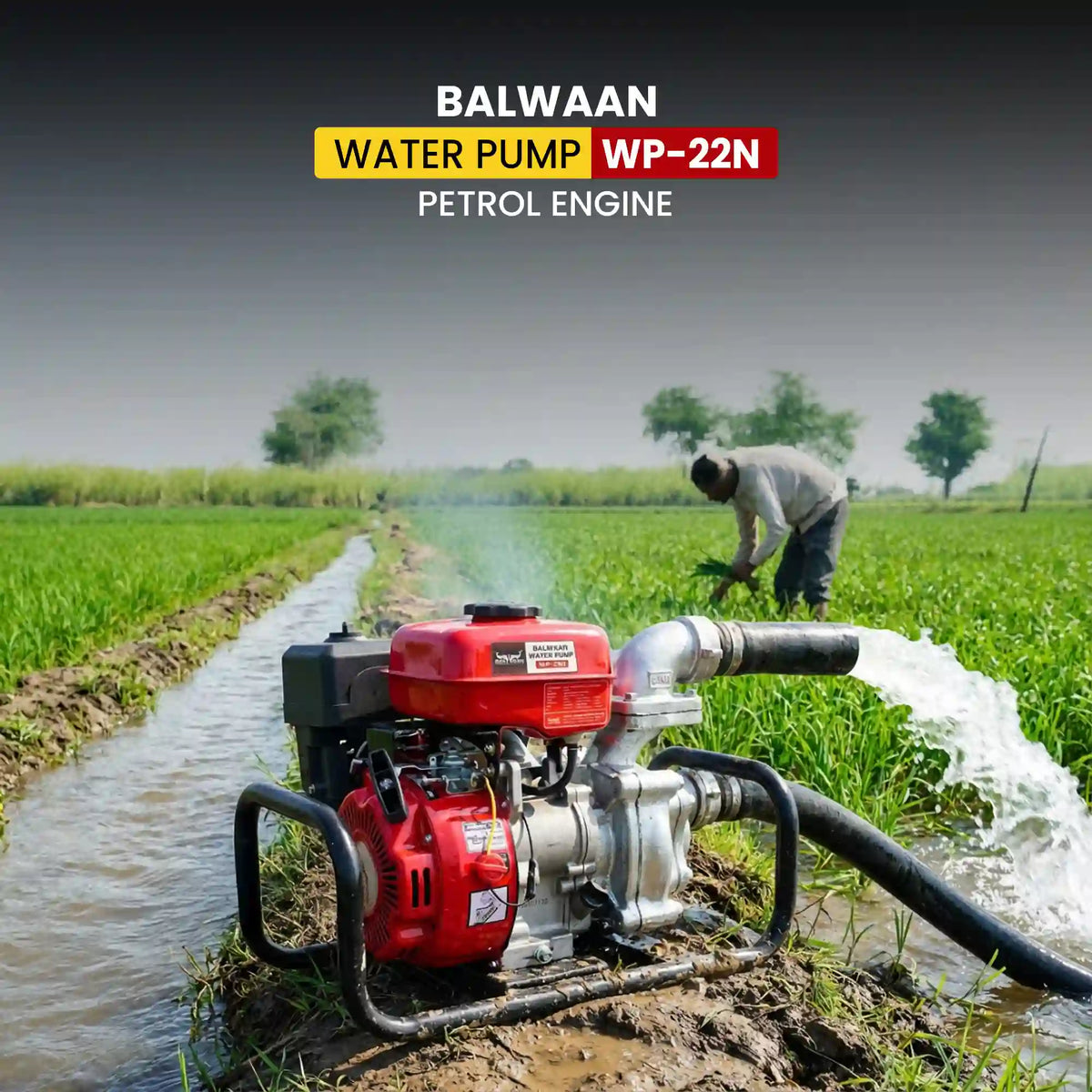 Balwaan Water Pump 2x2 Inch - (Premium Monoblock) WP-22N - image 4