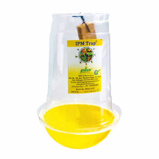 IPM Trap Easy fruit fly Trap( Pack of 10 )
