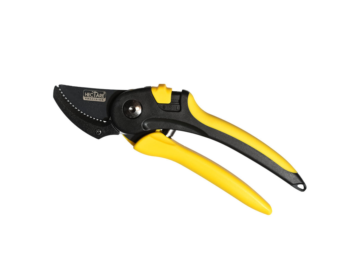 Hectare Precision Anvil Pruning Secateur | Large