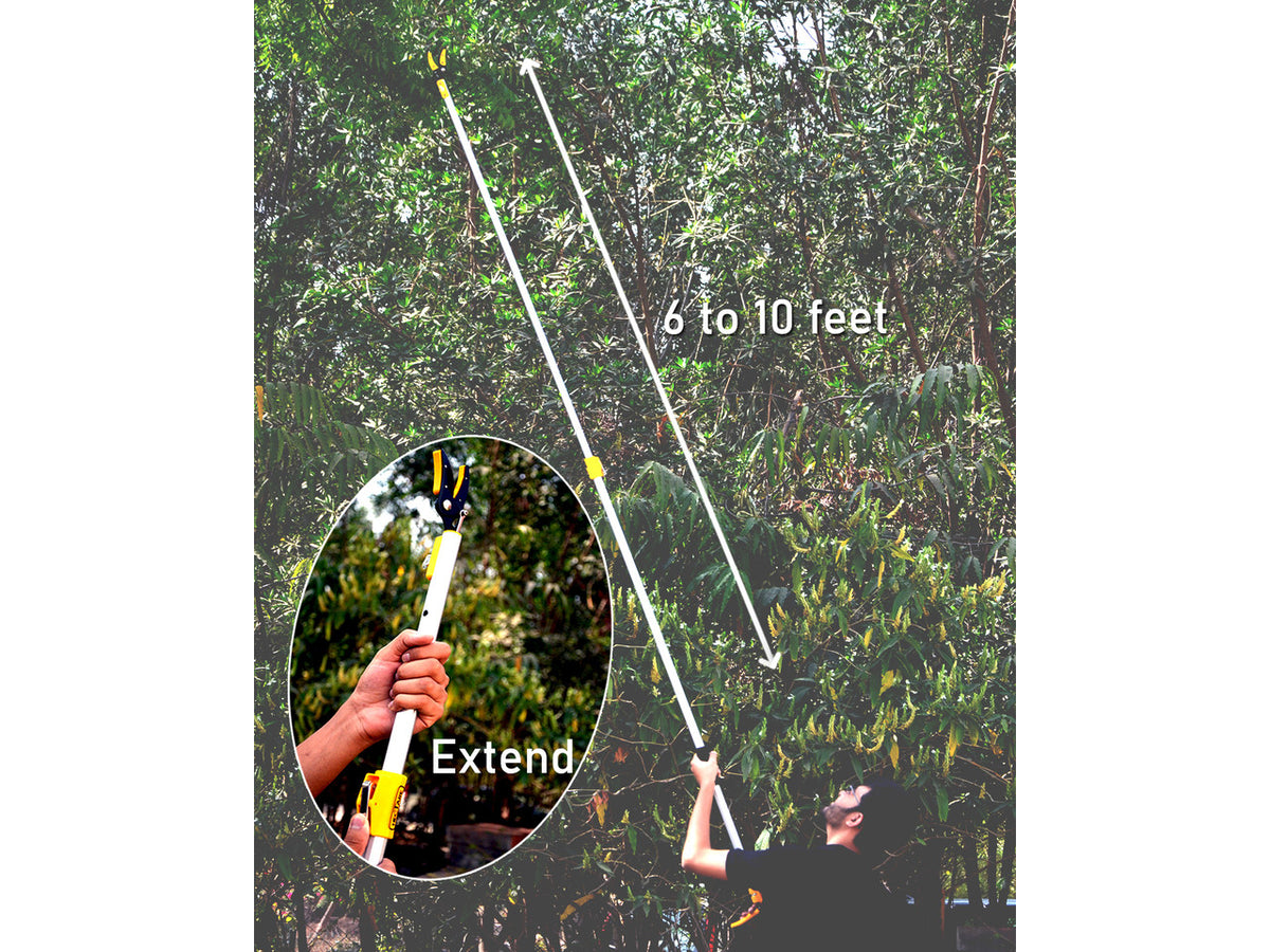 Hectare Telescopic Cut-and-Hold Fruit Picker with Pruner and Saw - image 2