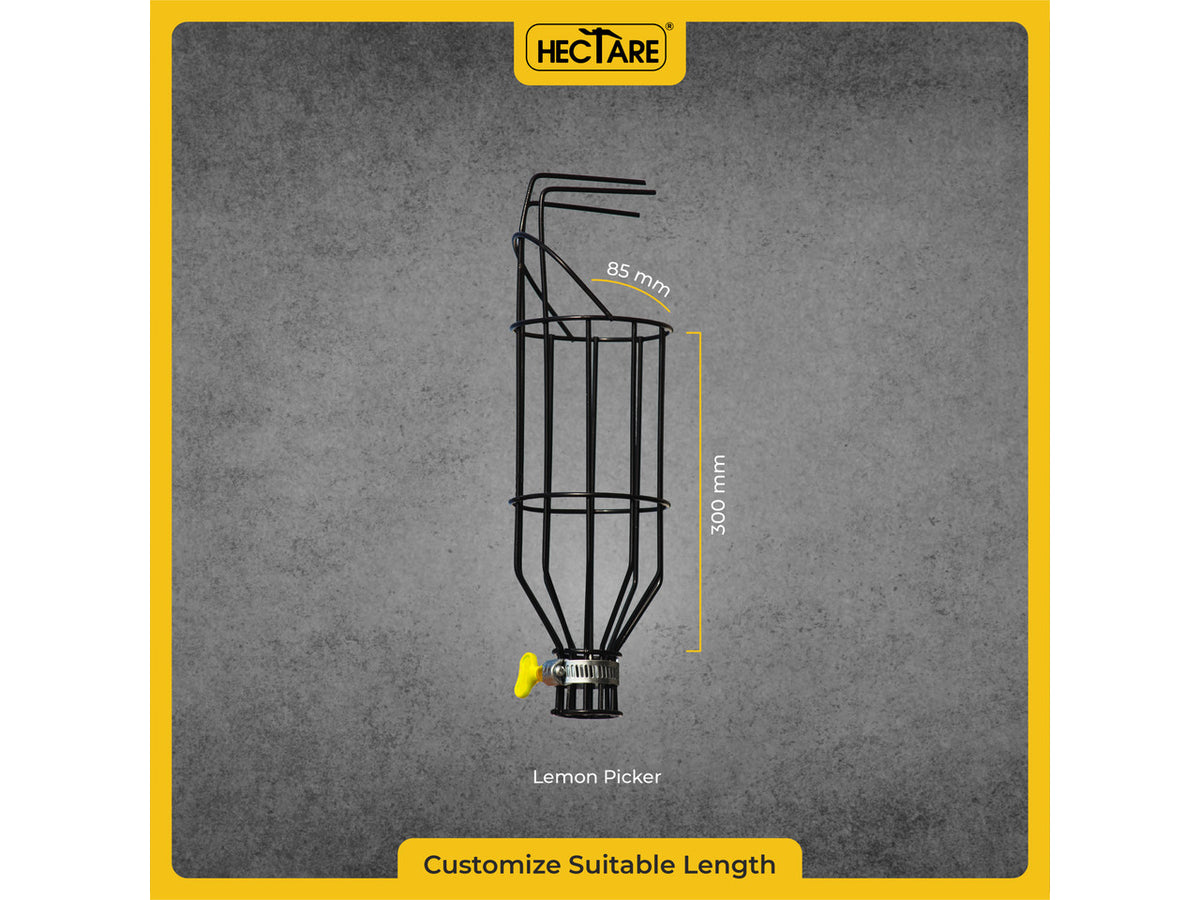 Hectare Lemon and Citrus Fruit Picker with Collection Basket - image 2