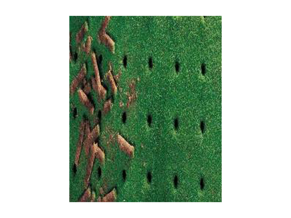 Unison Aerohler Core-Plug Lawn Aerator with Honda GX160 Engine | 16 Tines - image 2