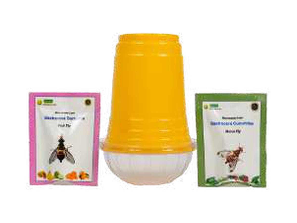 WAVAR Fruit Fly Trap with Melon Fly Lure | Cucurbit Crops