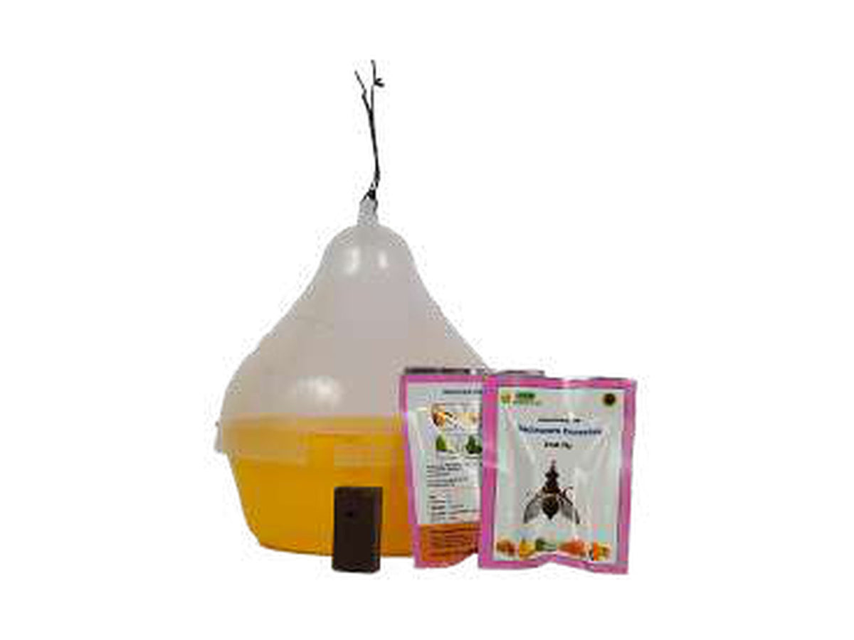 WAVAR McPhail Fruit Fly Trap | Trap Only, No Lure