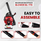 Balwaan Backpack Blower BL-770