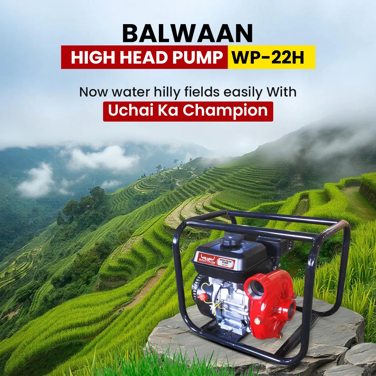 Balwaan High Head Pump 2x2 inch WP-22H - image 2