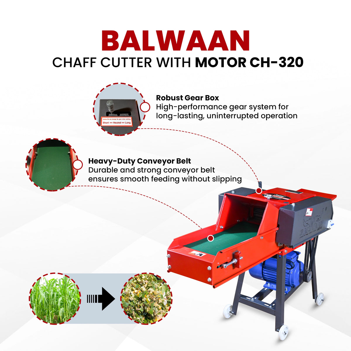 Balwaan Chaff Cutter (With Gear, Motor &Conveyor Belt) CH-320 - image 2