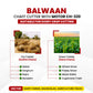 Balwaan Chaff Cutter (With Gear, Motor &Conveyor Belt) CH-320 - image 3
