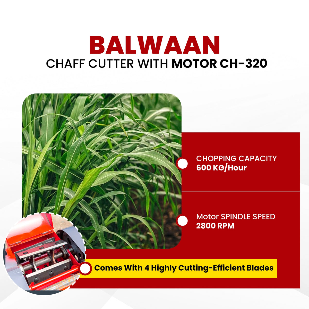 Balwaan Chaff Cutter (With Gear, Motor &Conveyor Belt) CH-320 - image 4