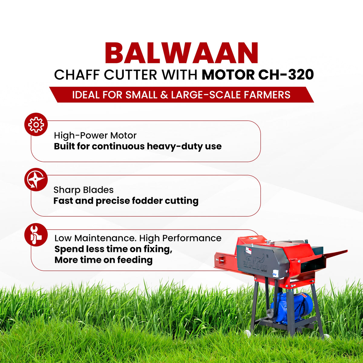 Balwaan Chaff Cutter (With Gear, Motor &Conveyor Belt) CH-320 - image 5