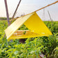 Delta Trap (Pack of 10) — Sticky-Liner Moth Trap - image 4