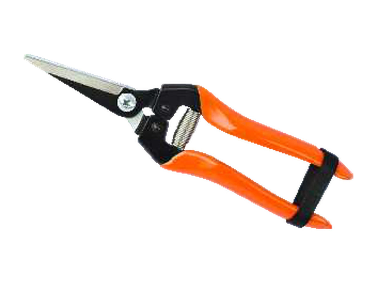 Falcon Fruit Pruner (By Pass Secateur) | FBT-45