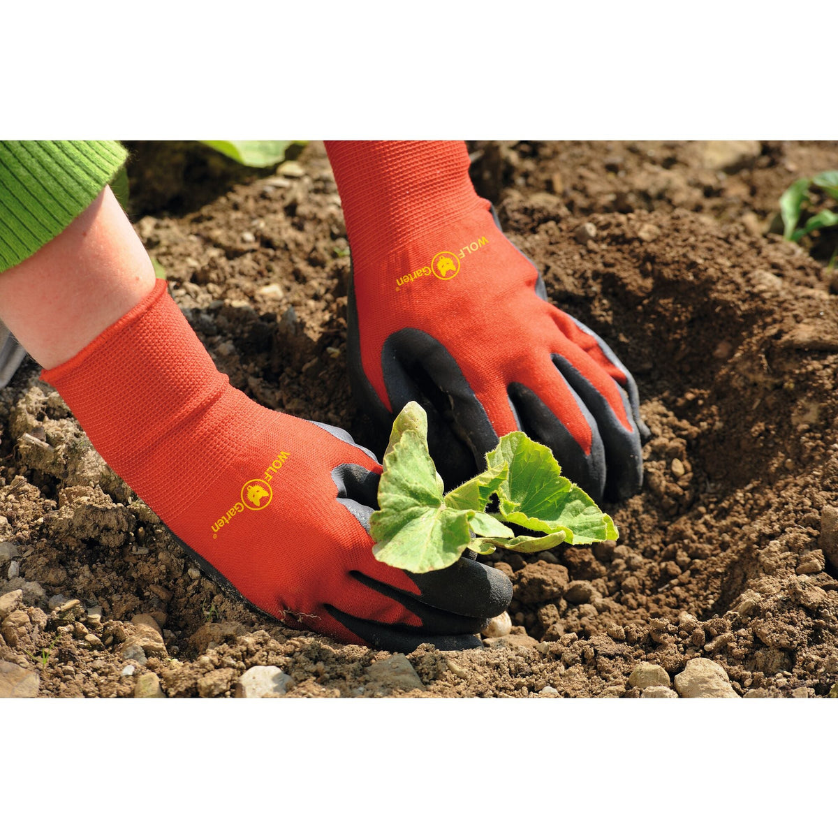 BED-GLOVES - image 2