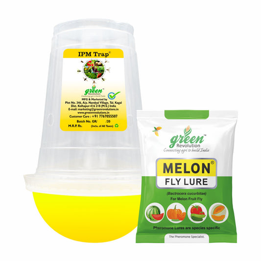 IPM Trap with Melon Fly Lure