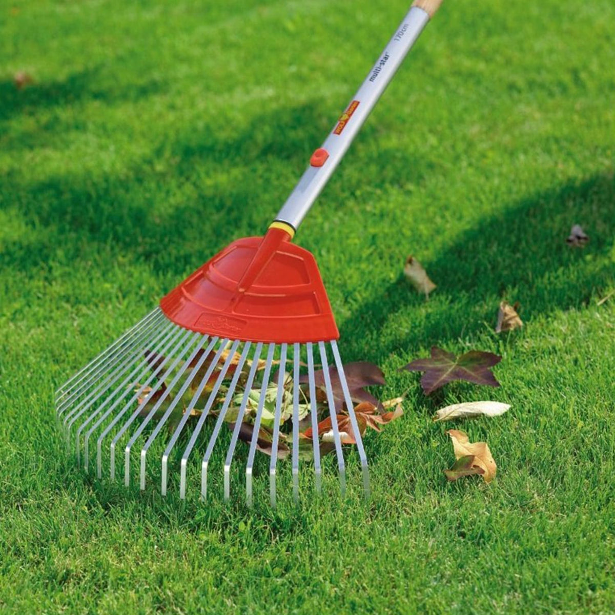 WOLF-Garten UF-M Lawn Rake — 50cm (Multi-Star Head) - image 2