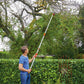 TREE LOPPERS - image 4