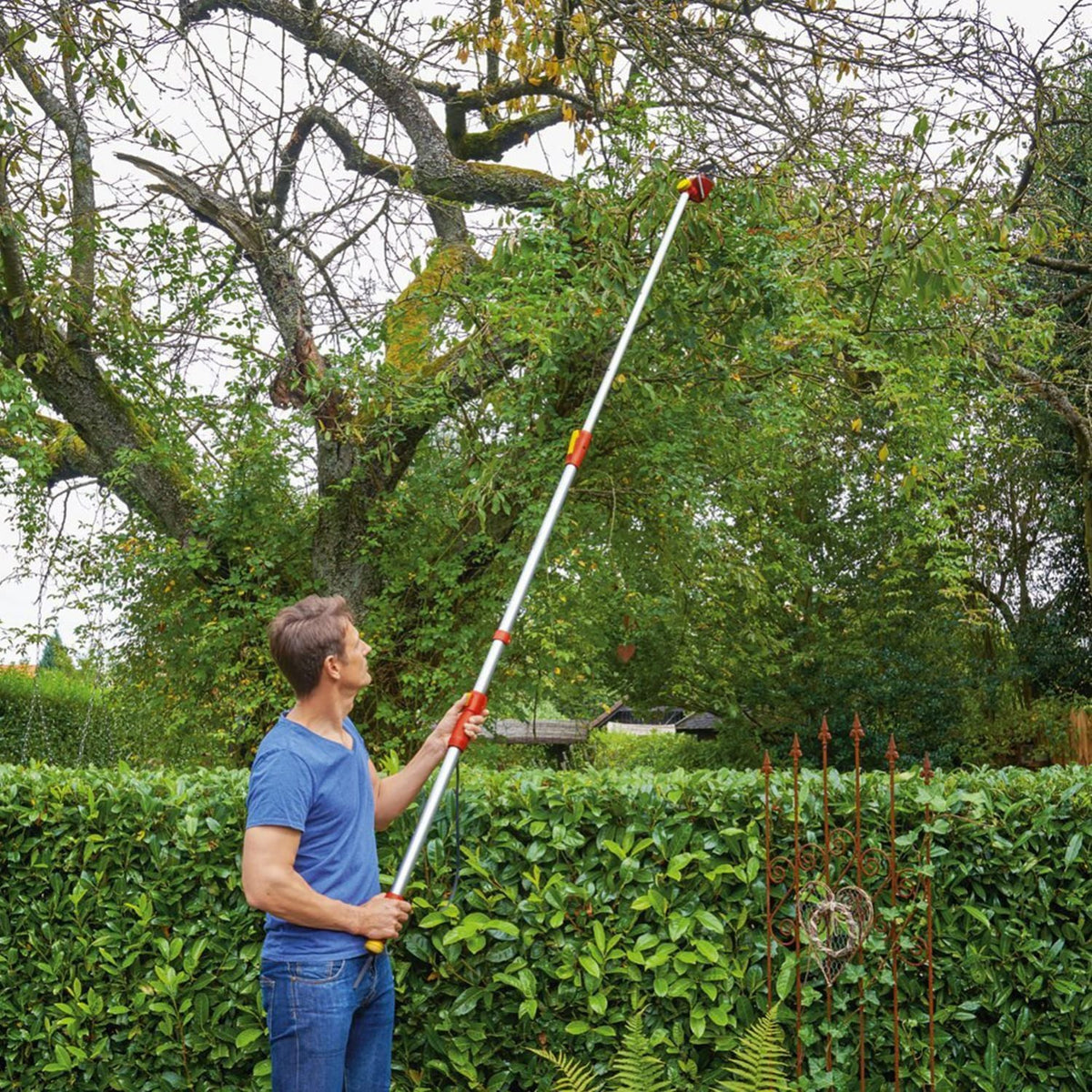 TREE LOPPERS - image 4