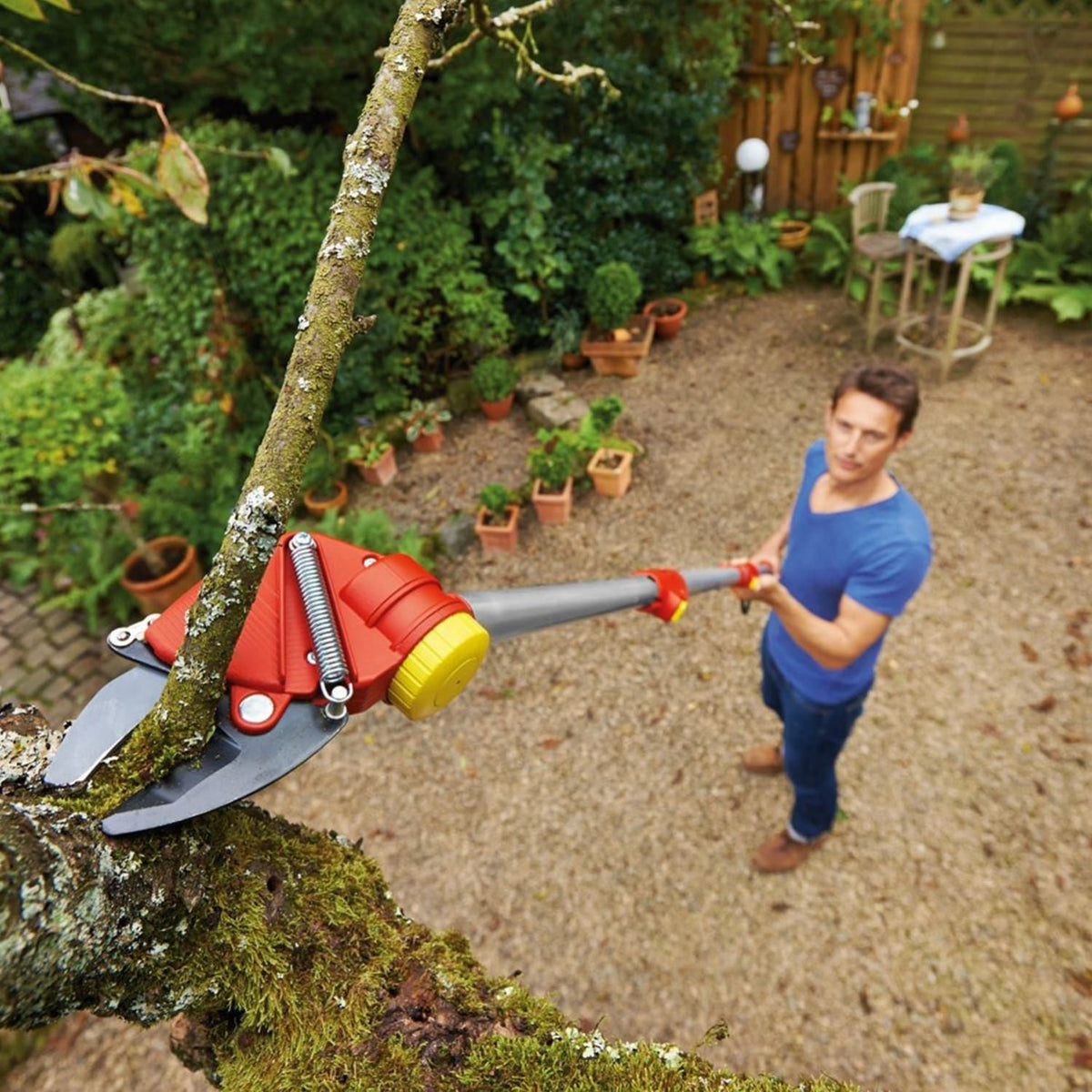 TREE LOPPERS - image 3