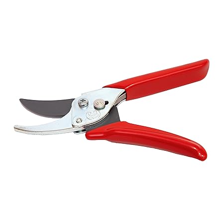 ANVIL SECATEURS