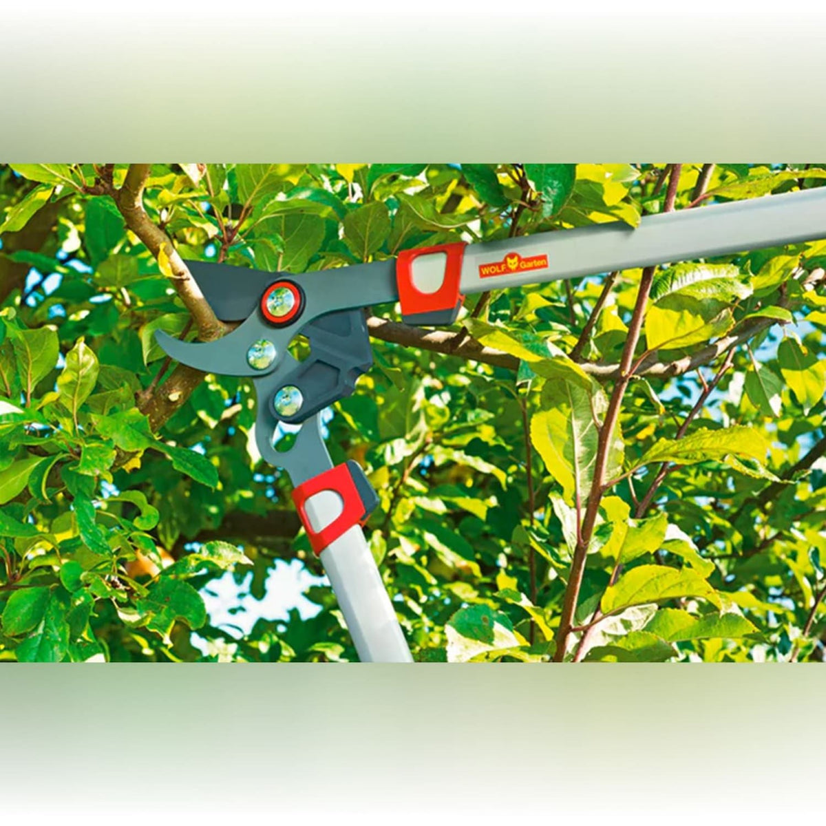 BYPASS LOPPER (TELESCOPIC) - image 4