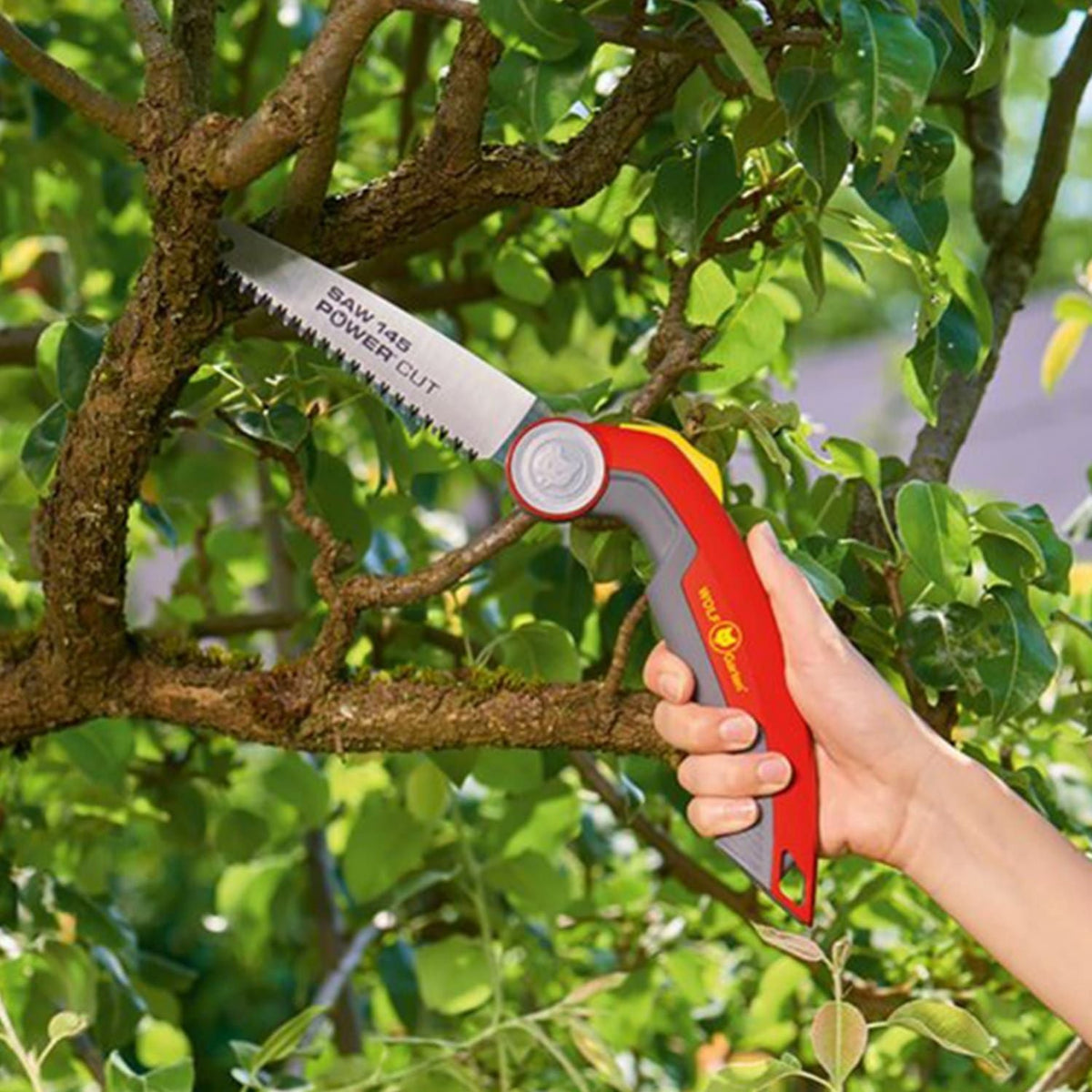 FOLDING SAW - image 2