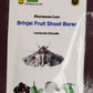 Brinjal fruit shoot borer