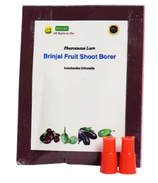 Brinjal shoot borer lure (Only Lure)