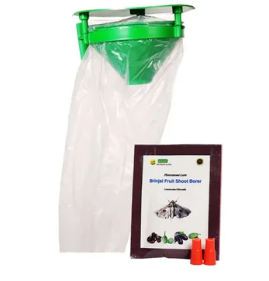 Funnel Trap with Brinjal Fruit Shoot Borer