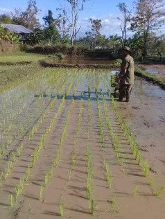 Rice transplanter