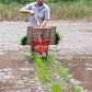 Rice transplanter