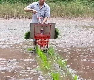 Rice transplanter