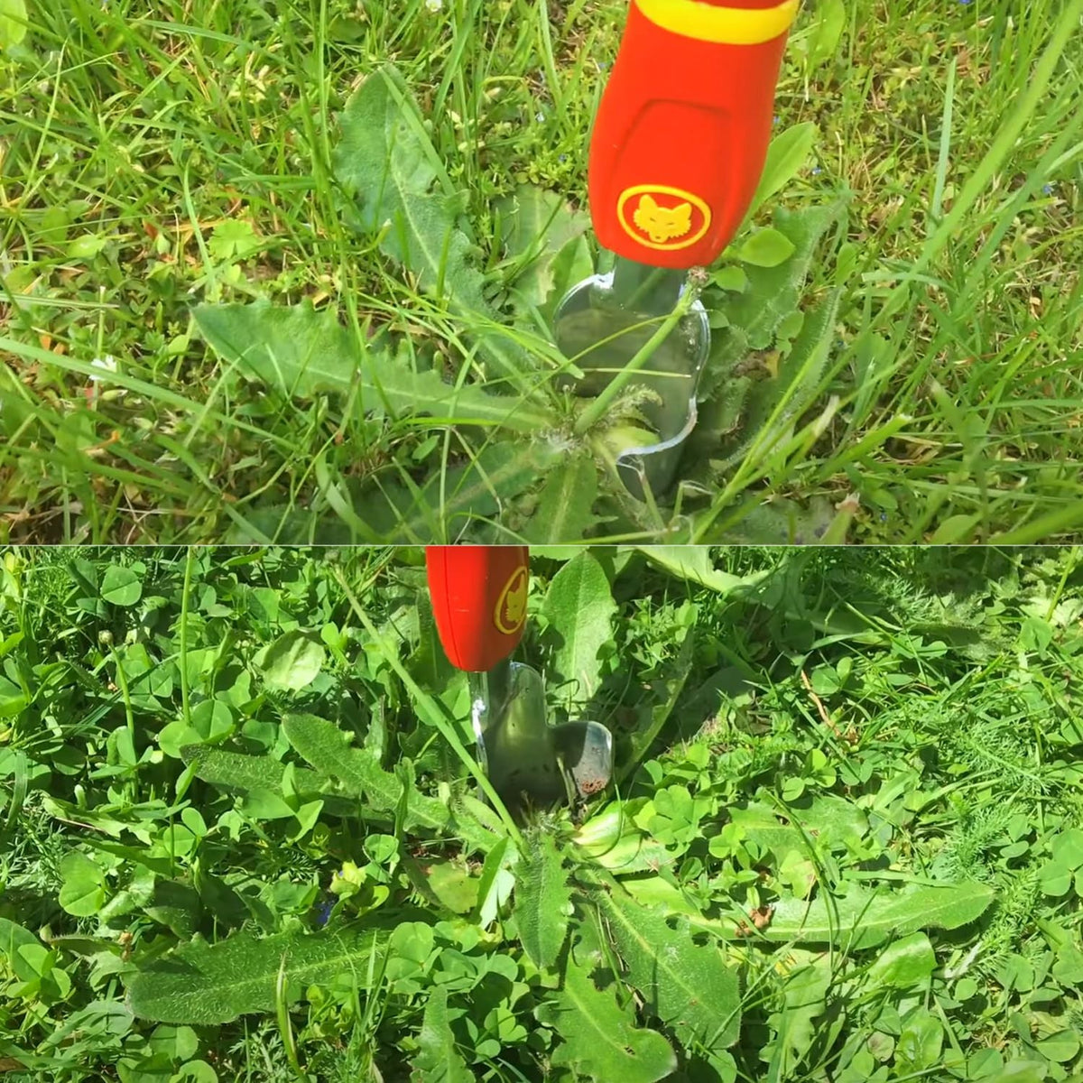 WOLF GARTEN THISTLE EXTRACTOR (IW-M) - image 3