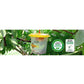 Barrix Catch Fruit Fly Trap (Set of 4 piece)