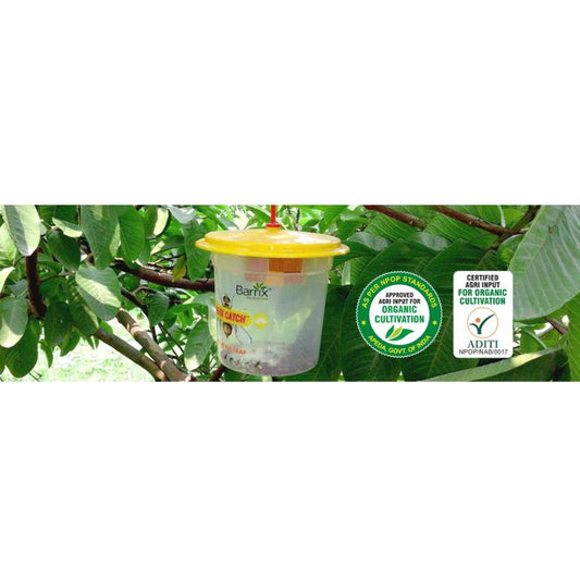 Barrix Catch Fruit Fly Trap (Set of 4 piece)