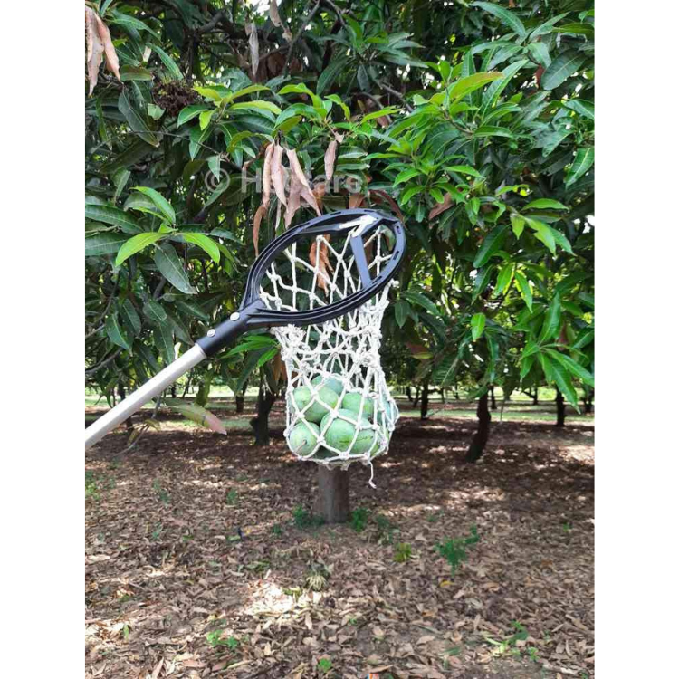 FM02- Multi Fruit Picker FM02 with Cotton Net & 4 Blades – Without Pole - image 2