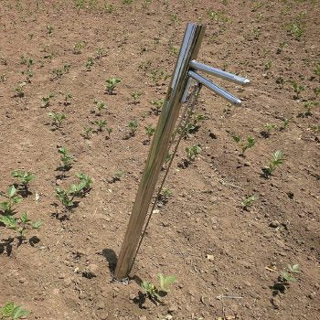 Vegetable Planter