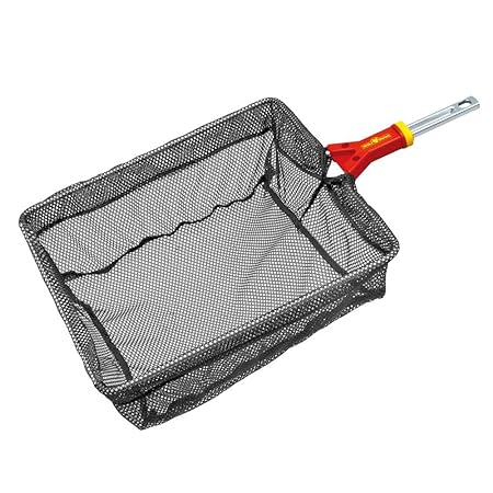 Pond Net