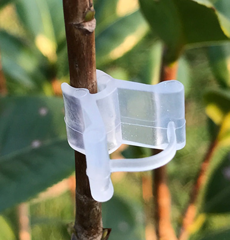 Grafting clip